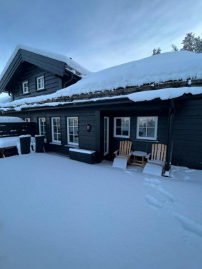 Flott fjellhytte - nær skiløype og skitrekk